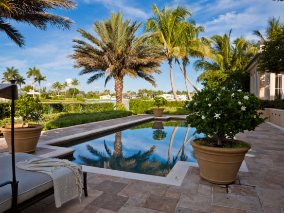 A serene backyard pool surrounded by palm trees and greenery.