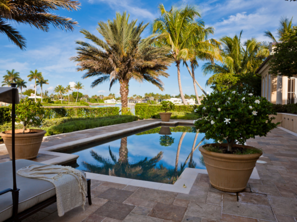 A serene backyard pool surrounded by palm trees and greenery.