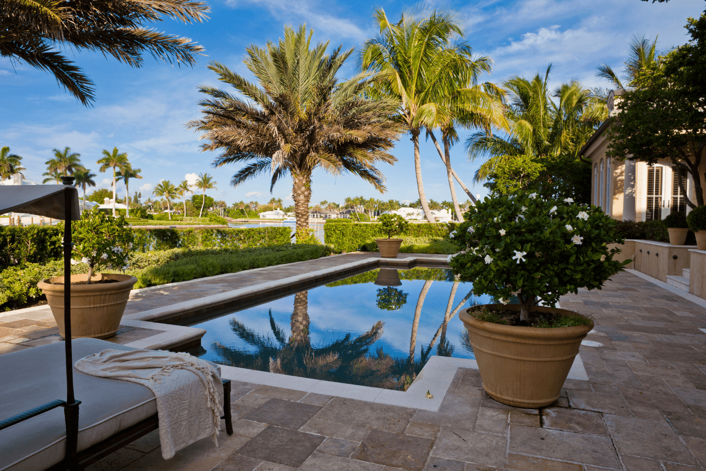 A serene backyard pool surrounded by palm trees and greenery.