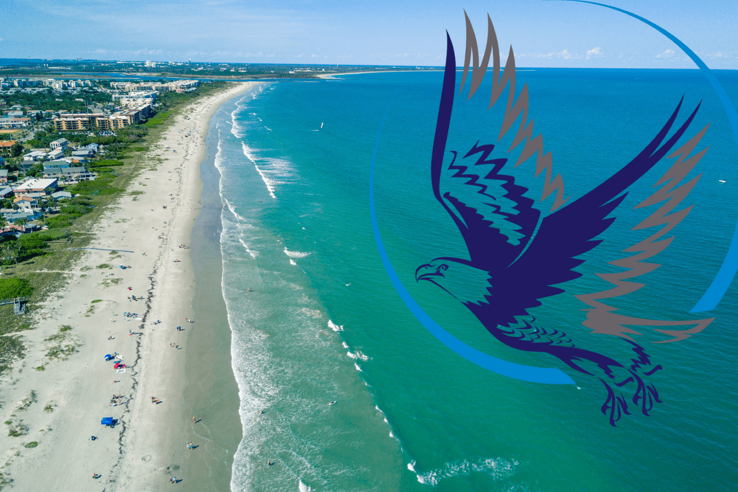 Aerial view of a beach with turquoise water and a graphic of a soaring bird overlay.